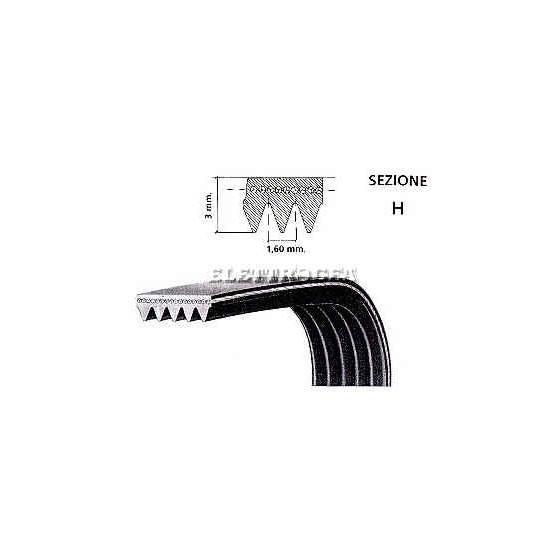 CINGHIA EL1023 H7  1023 9EPH ARDO MERLONI 651009073, 416004100
